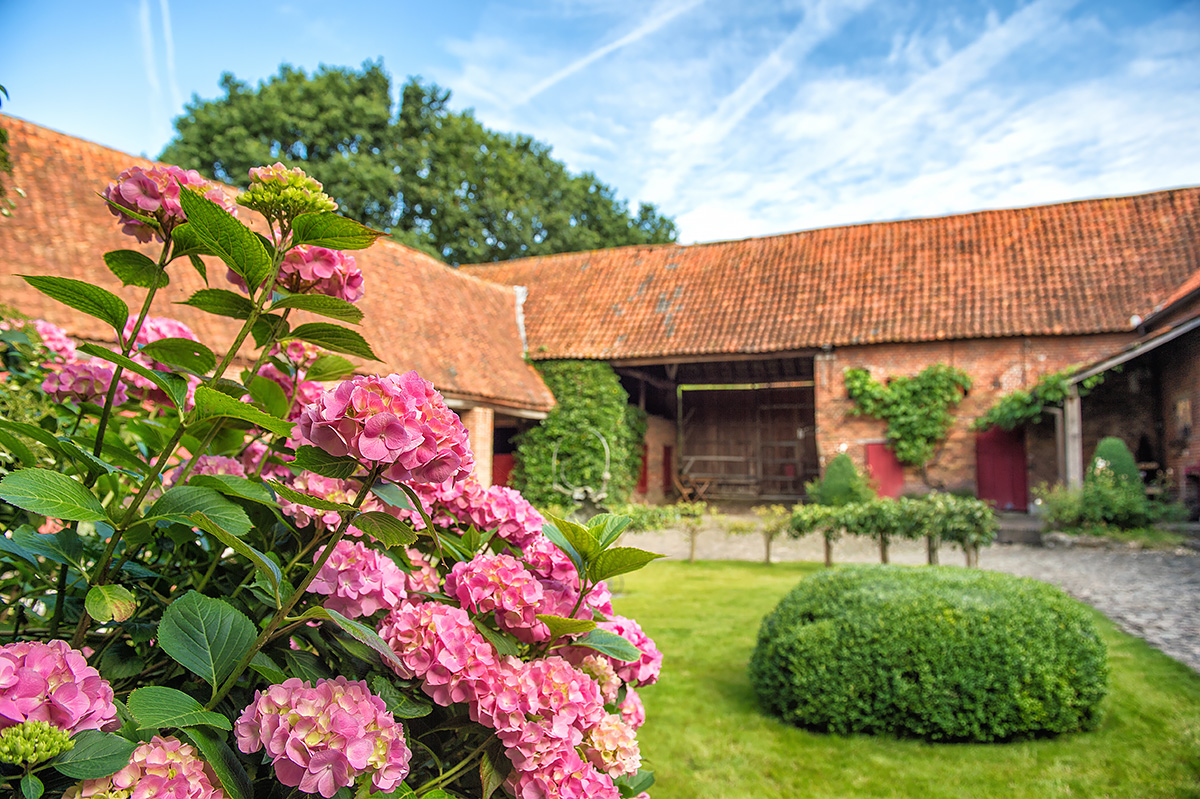 binnentuin vakantiehuis zwalmstreek