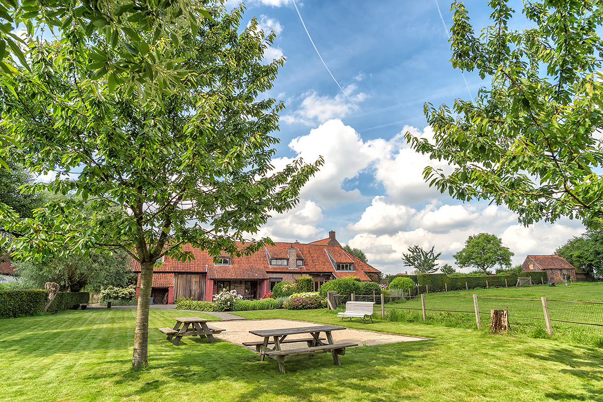 rustig gelegen vakantiewoning midden in het groen voor groepen familie en vrienden