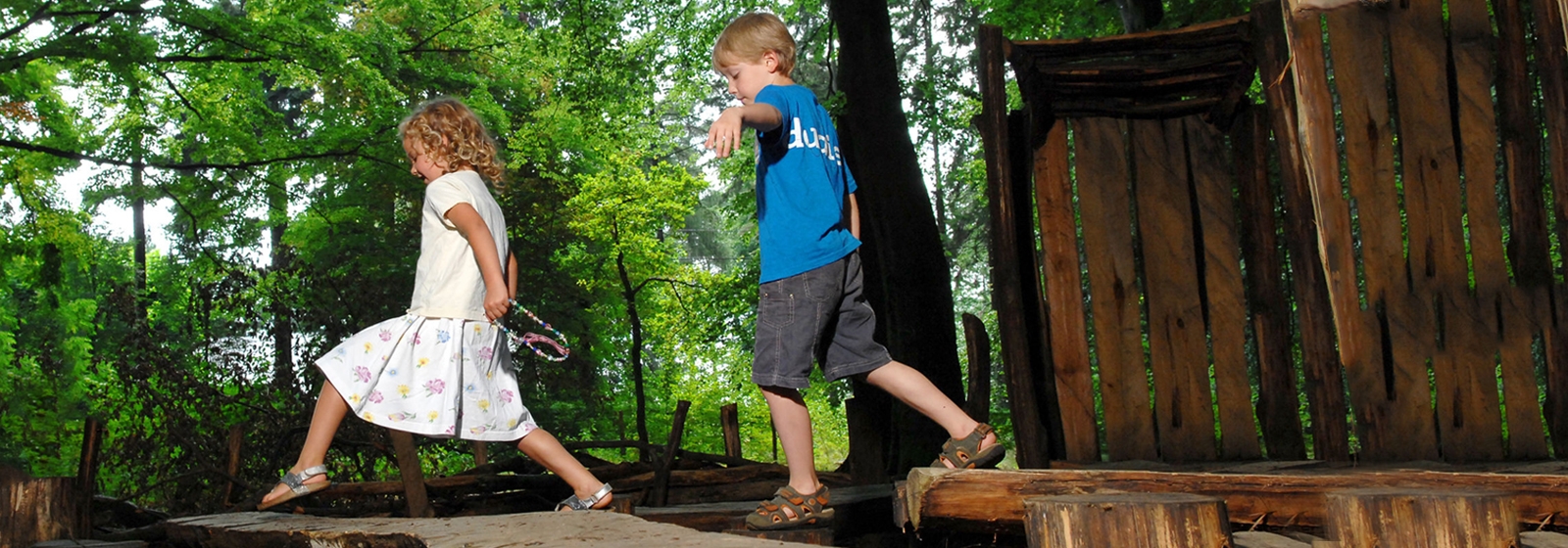 spelende kinderen in het bos vlaamse ardennen