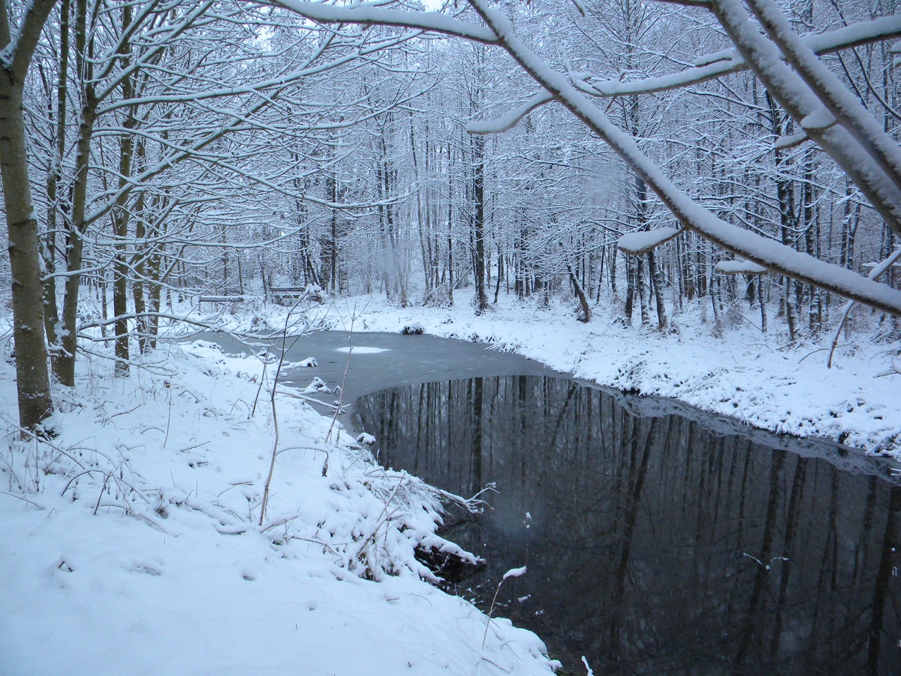 vijver in de sneeuw aan bos bij vakantiehoeve in de vlaamse ardennen en zwalmstreek