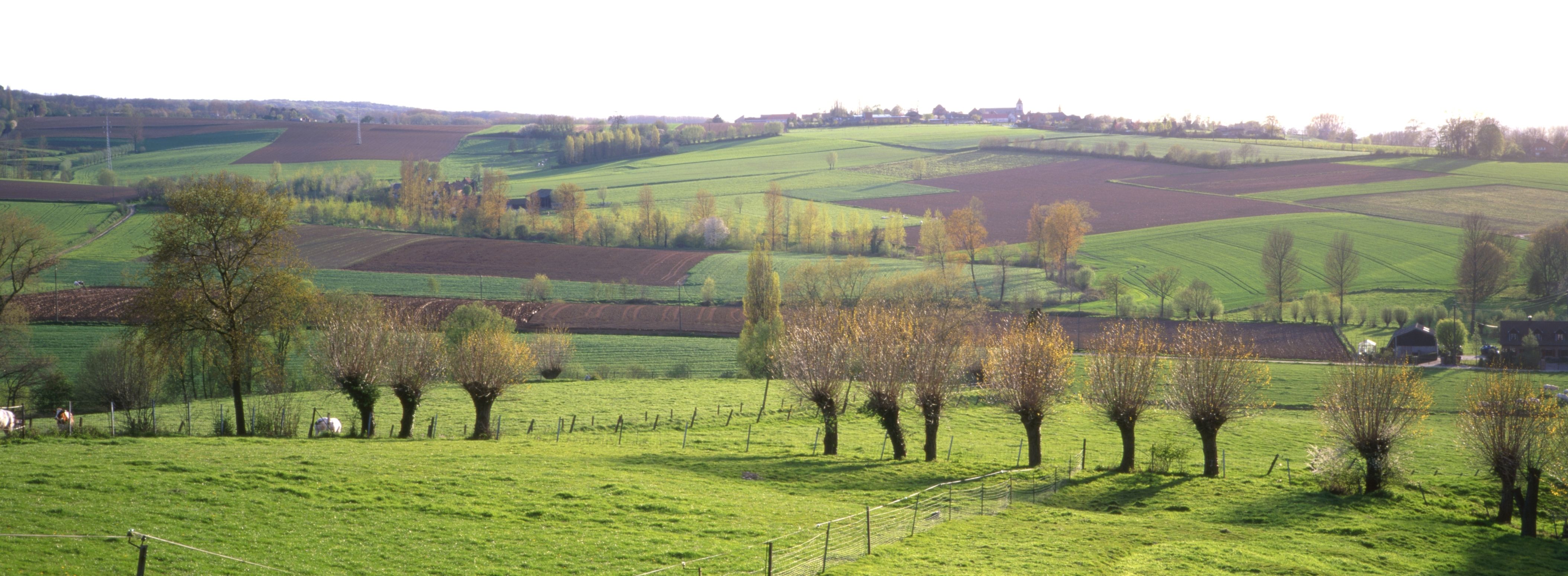 vergezicht in de vlaamse ardennen op akkers en weilanden